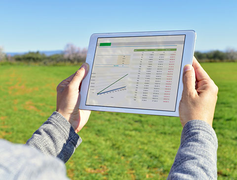 Visuel audit & d&eacute;veloppement