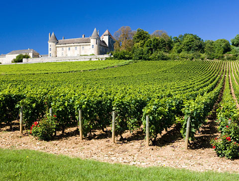 Visuel expertise comptable