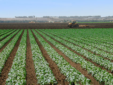 Visuel mission sociale